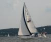Calypso's picture